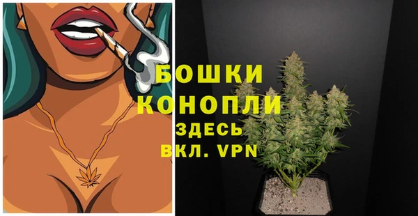 тгк Бородино