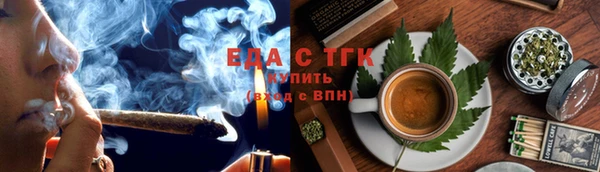 тгк Бородино