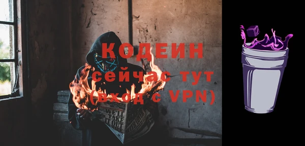 тгк Бородино