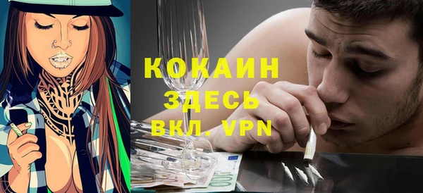 тгк Бородино