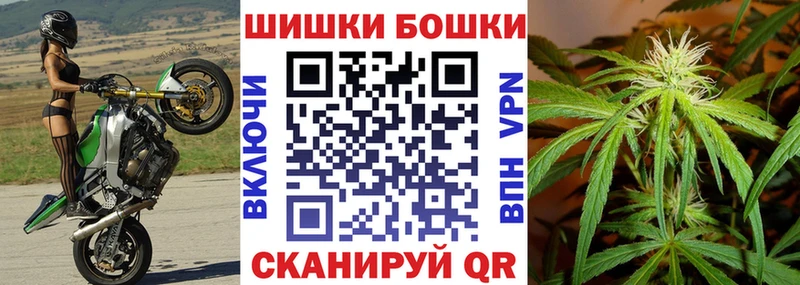 Марихуана индика  наркотики  Шарья 